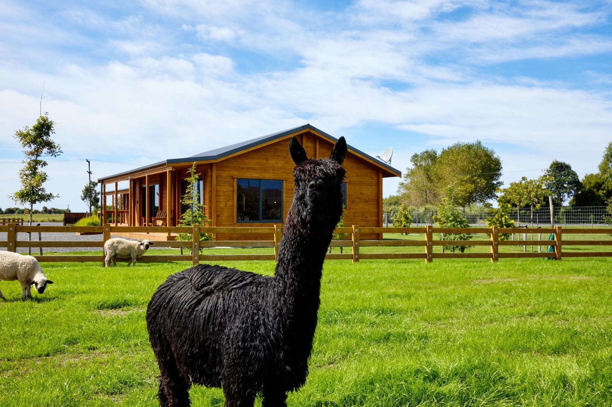 Deerbrooke Kaikoura Chalets - Chalet 2 Εξωτερικό φωτογραφία
